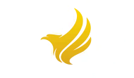 Team American Freedom